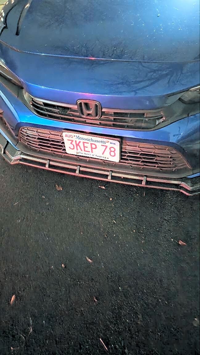 Image submitted with report