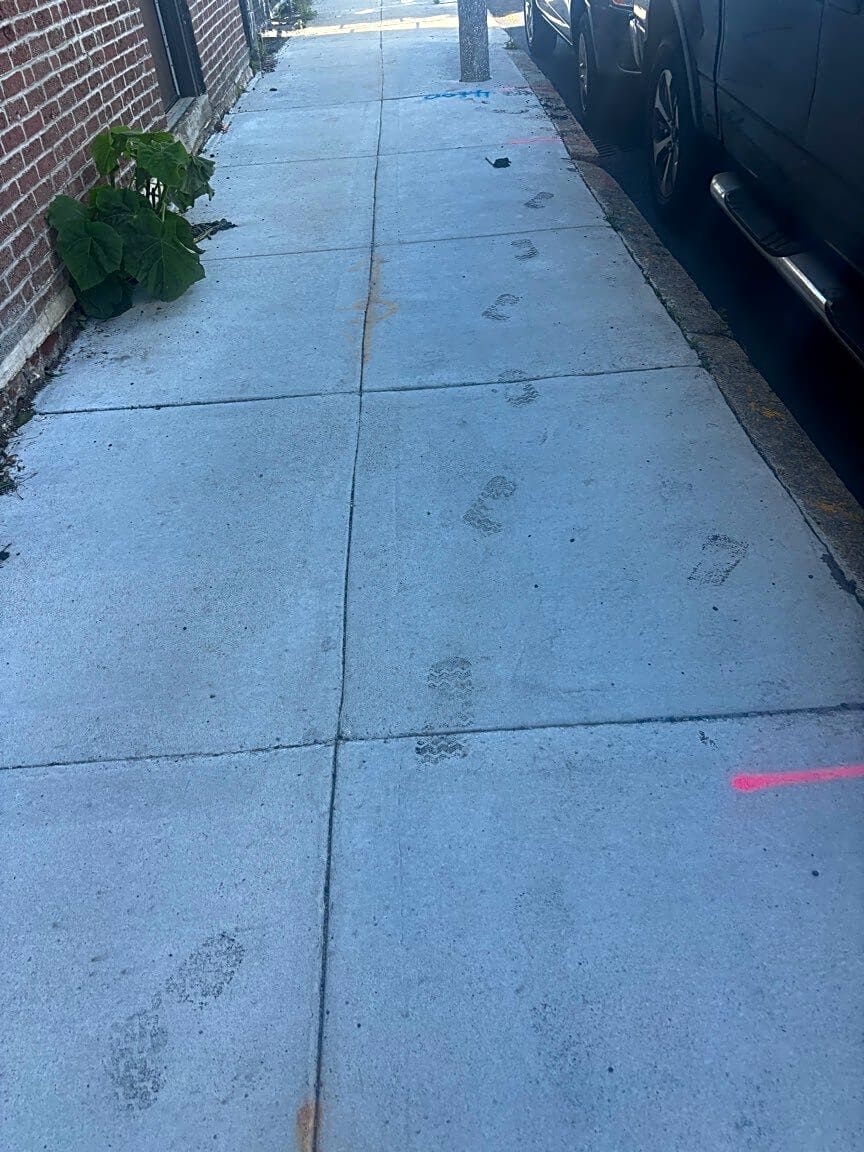 Image submitted with report