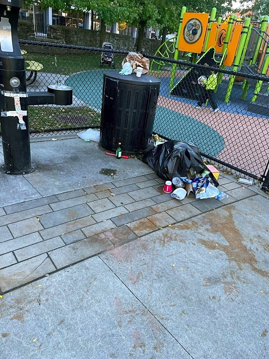 Image submitted with report