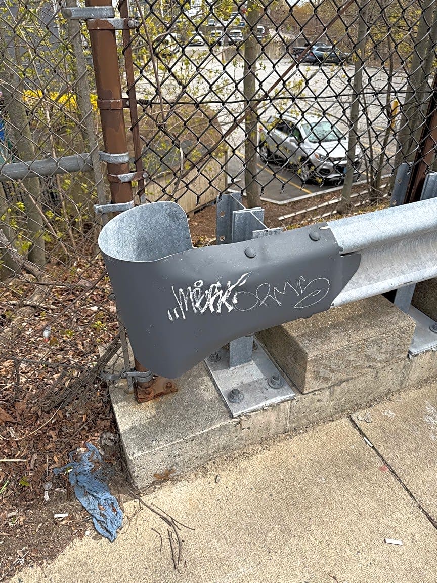 Image submitted with report