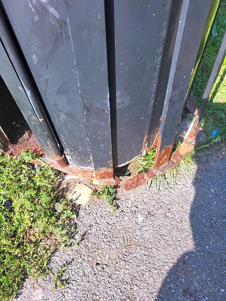 Image submitted with report