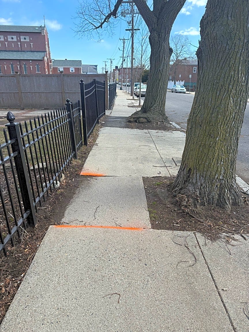 Image submitted with report