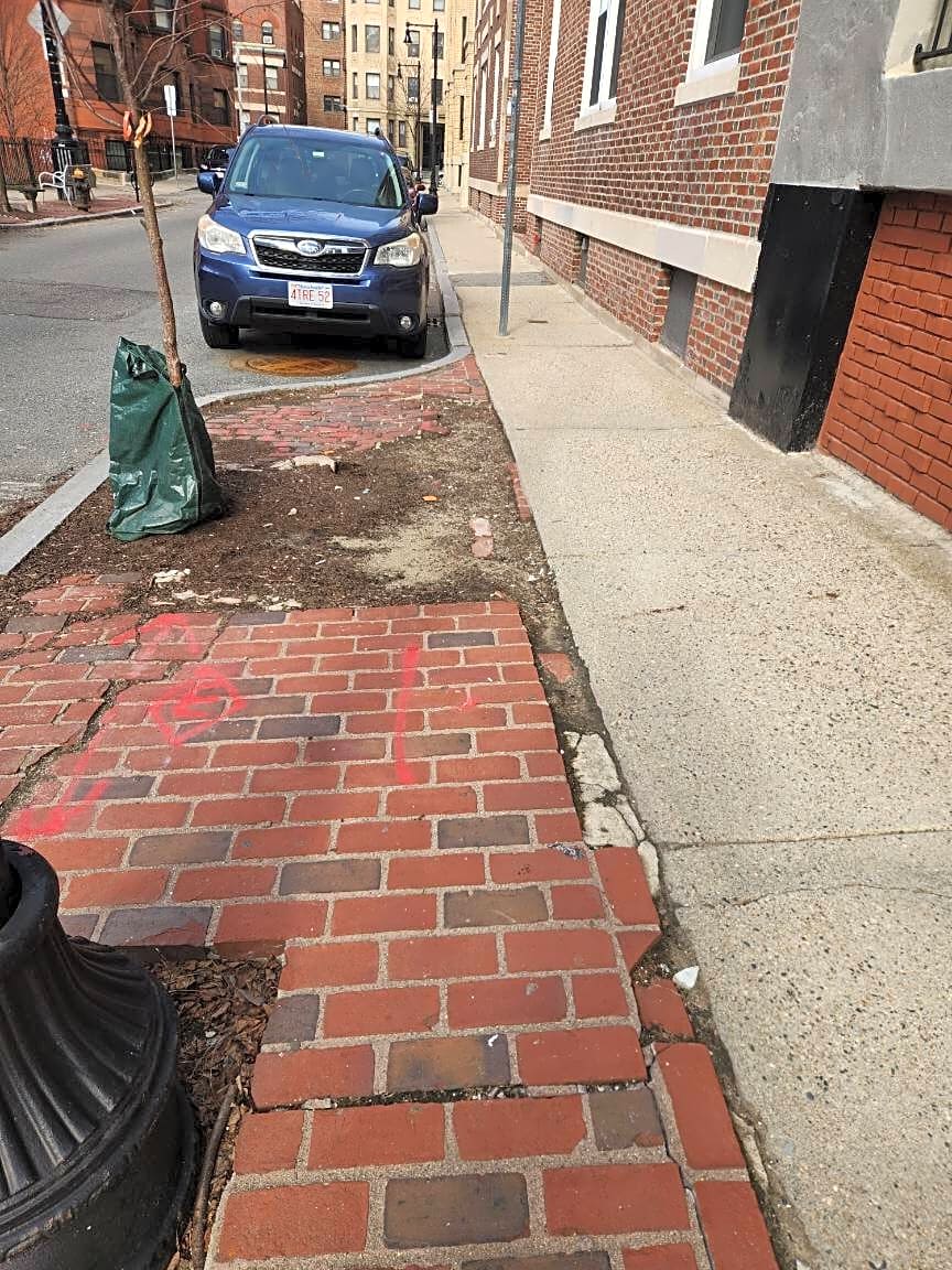 Image submitted with report