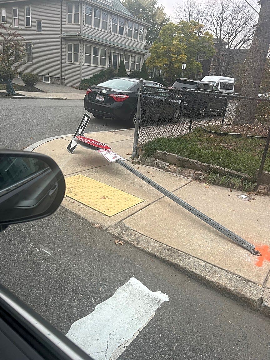 Image submitted with report