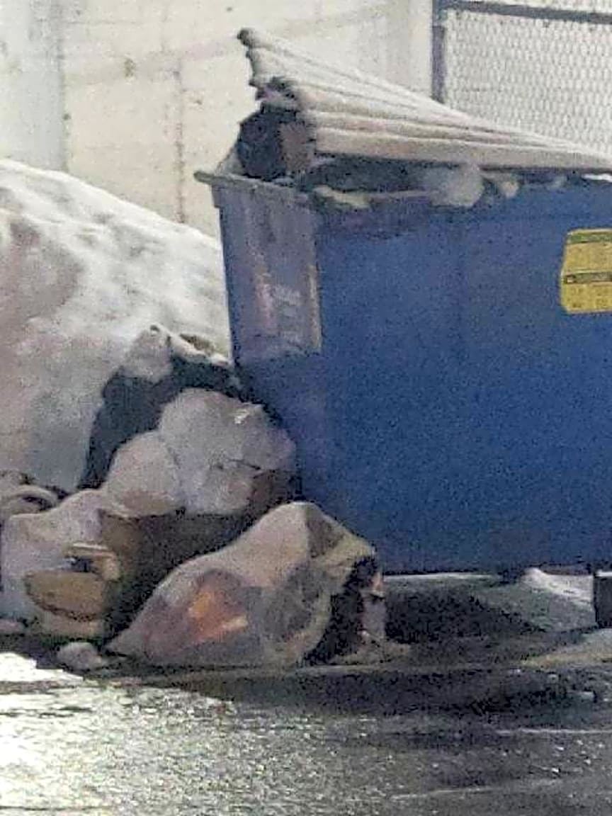 Image submitted with report