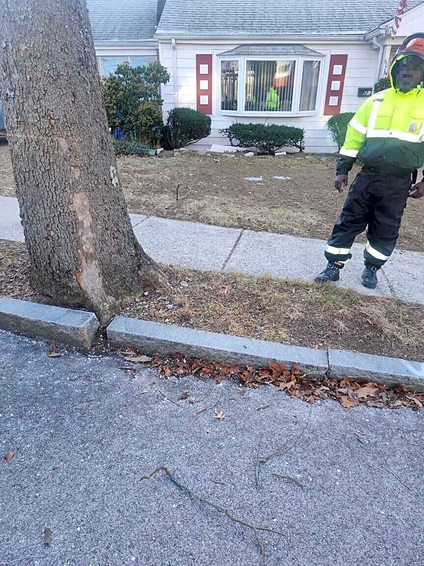 Image submitted with report