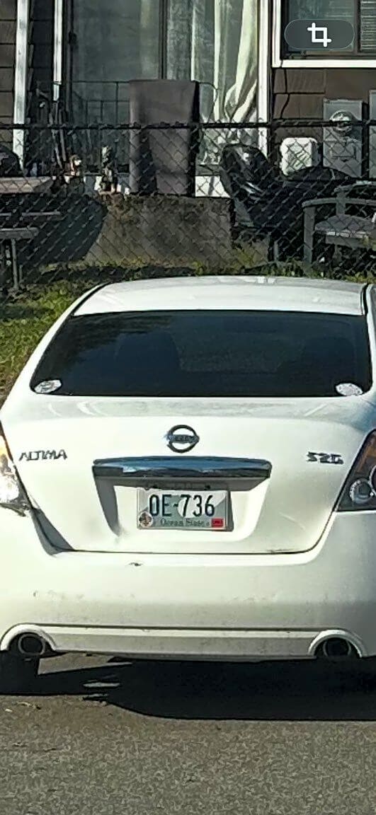 Image submitted with report