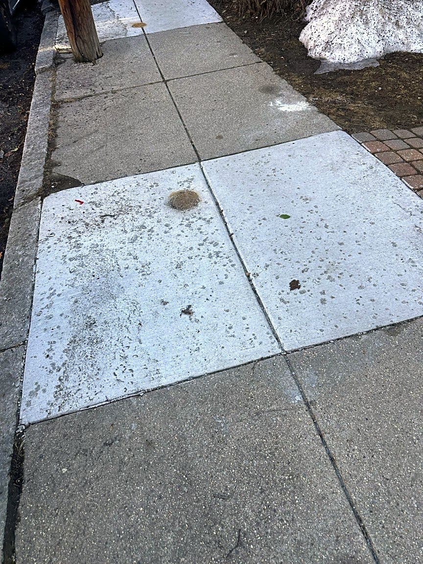 Image submitted with report