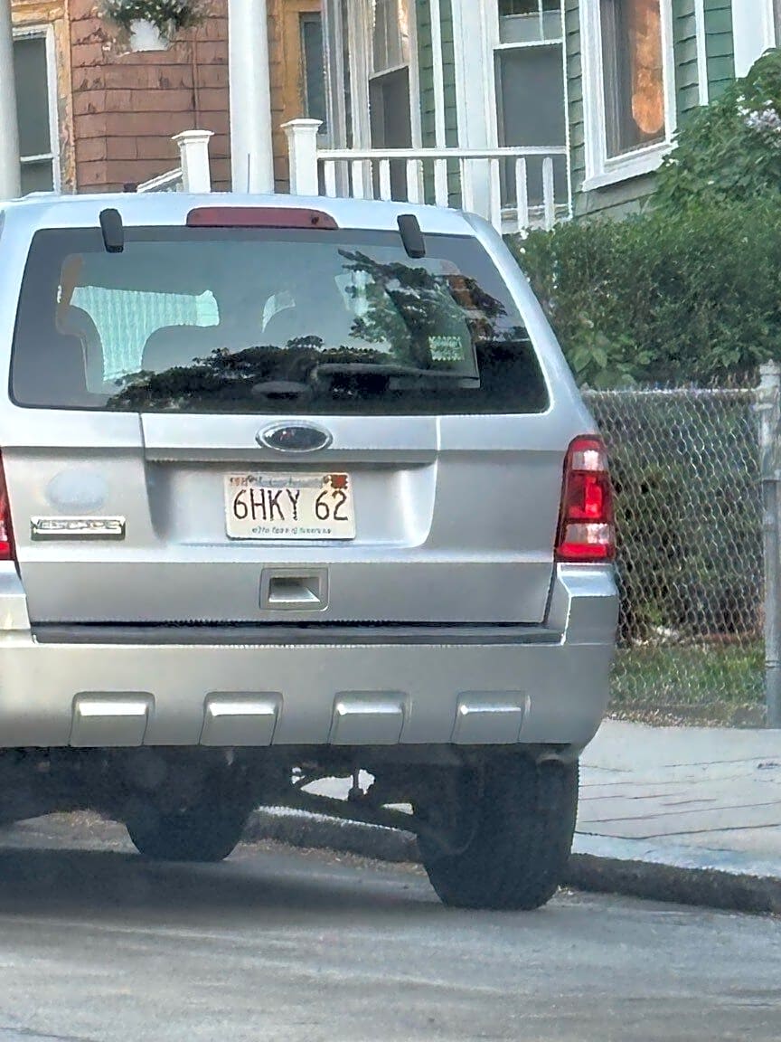 Image submitted with report