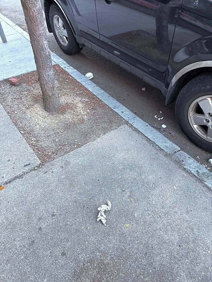 Image submitted with report
