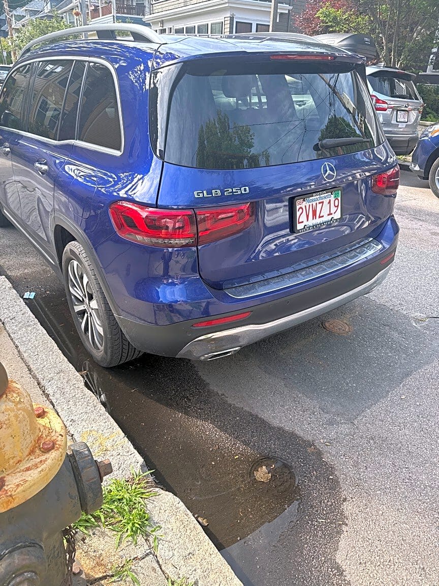 Image submitted with report