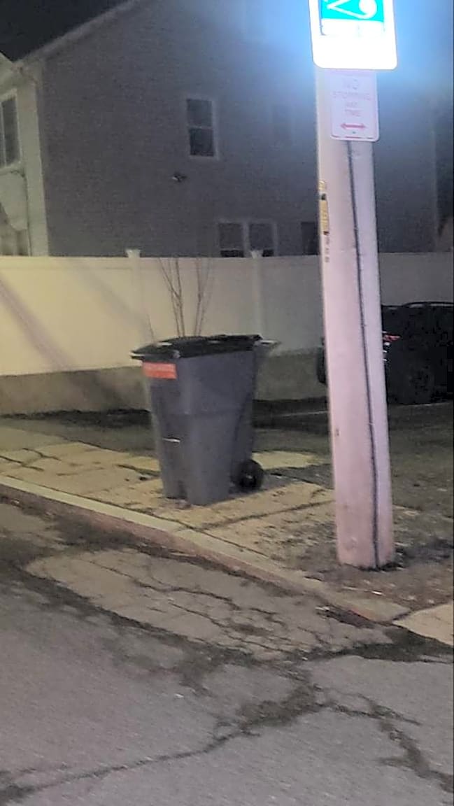 Image submitted with report