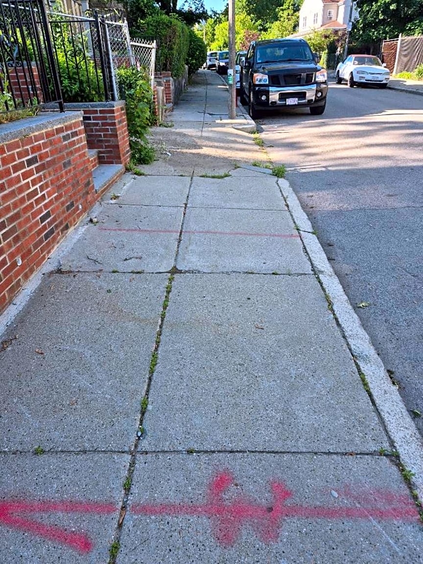 Image submitted with report