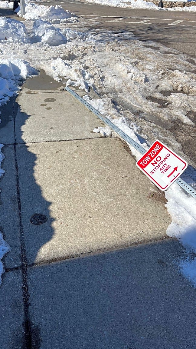 Image submitted with report