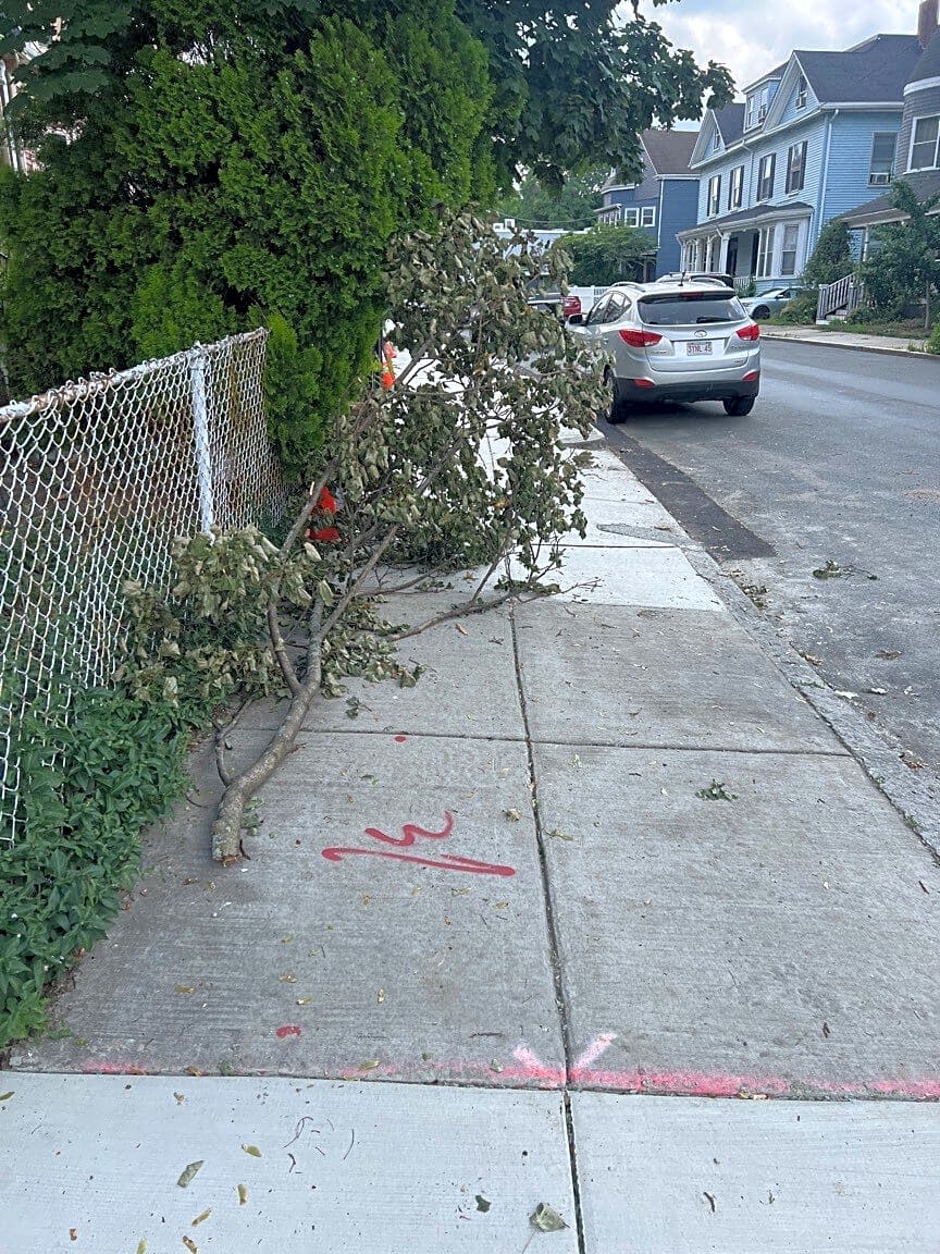 Image submitted with report