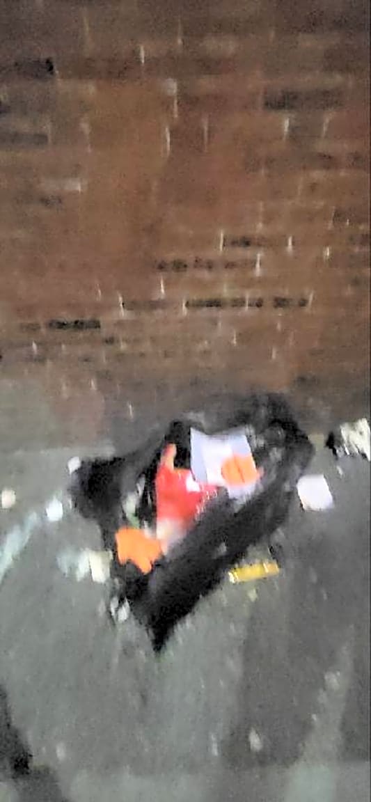 Image submitted with report