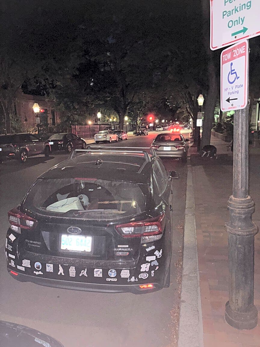 Image submitted with report