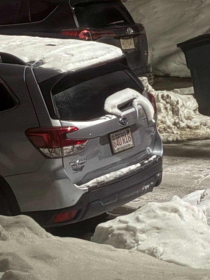 Image submitted with report