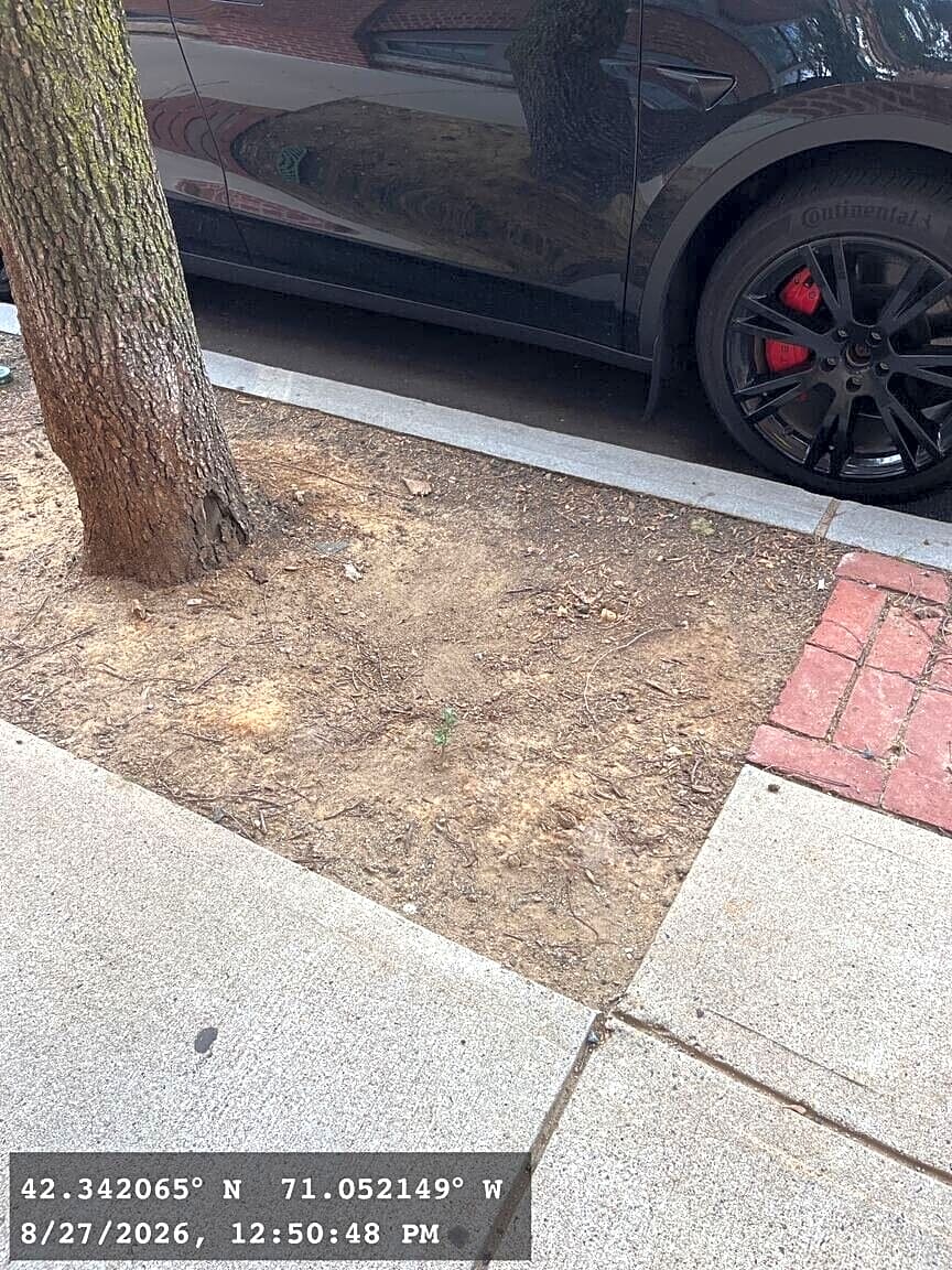 Image submitted with report