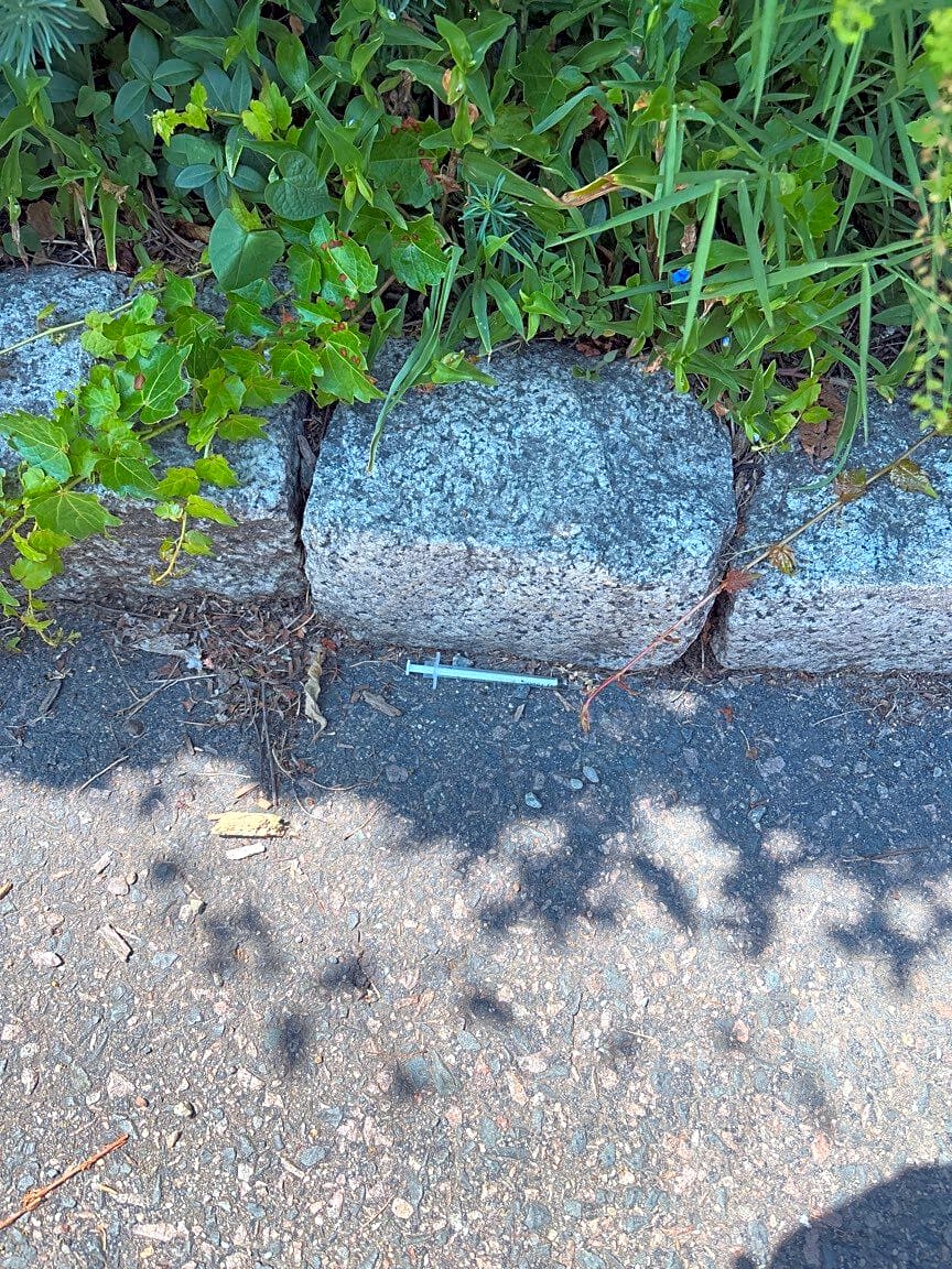Image submitted with report