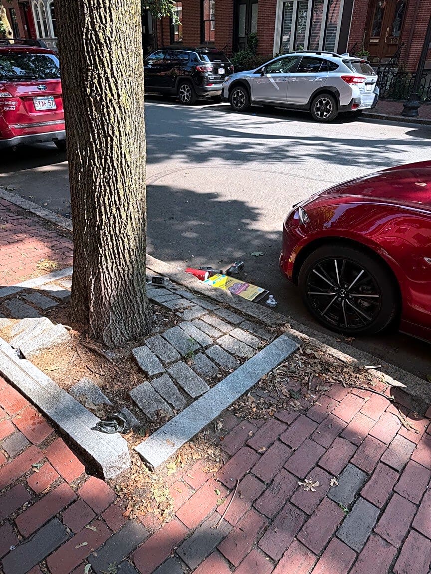 Image submitted with report