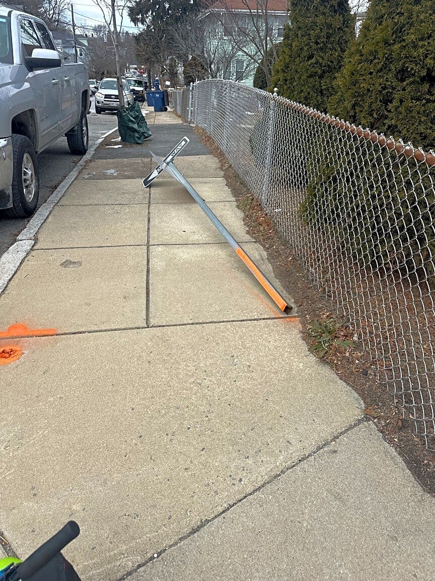 Image submitted with report