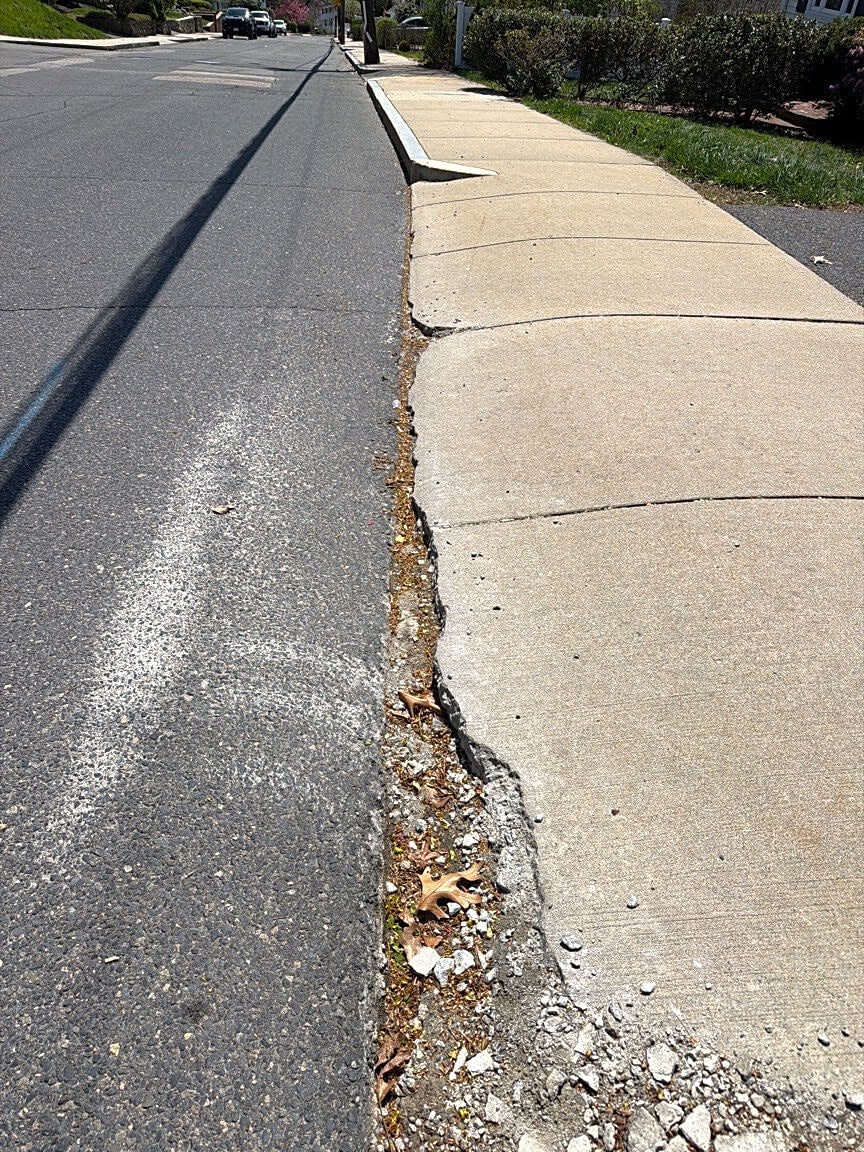 Image submitted with report
