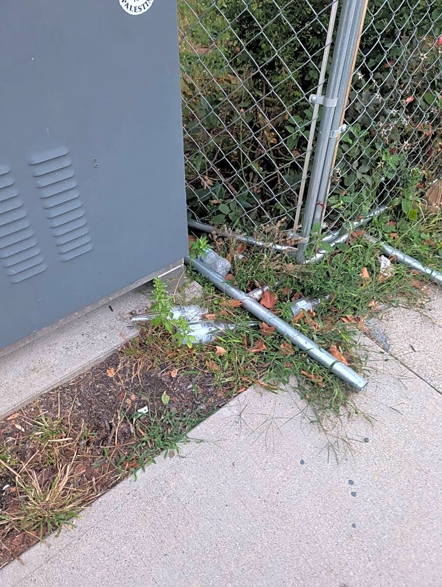Image submitted with report
