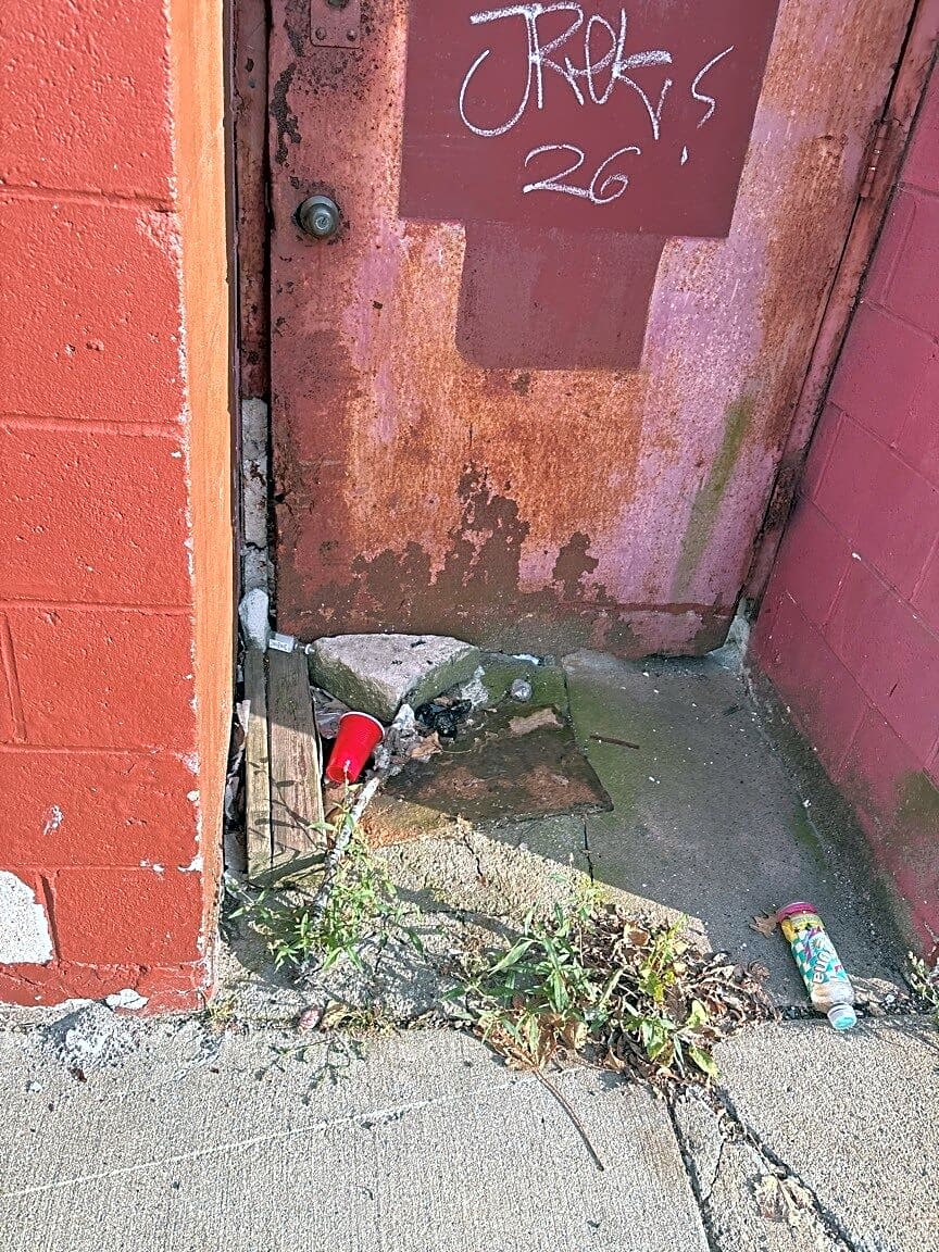 Image submitted with report