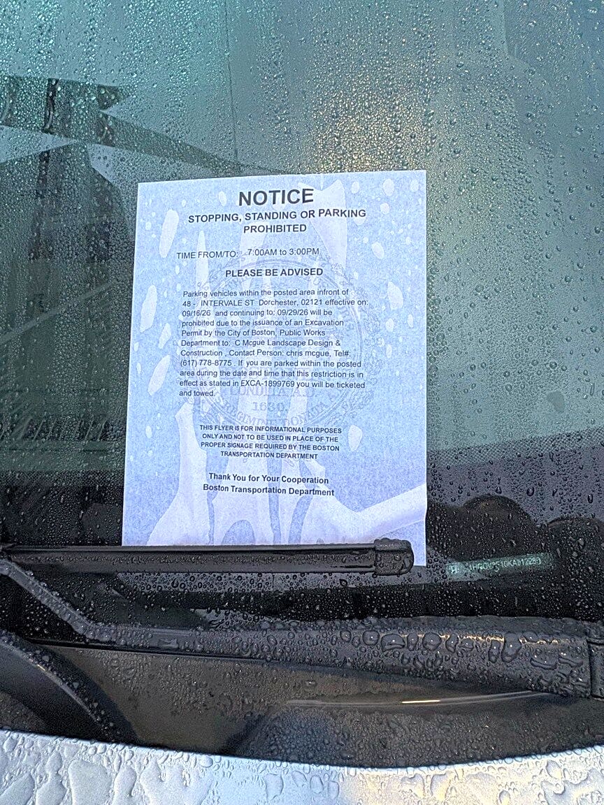 Image submitted with report