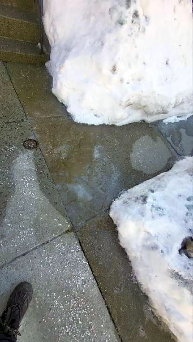 Image submitted with report