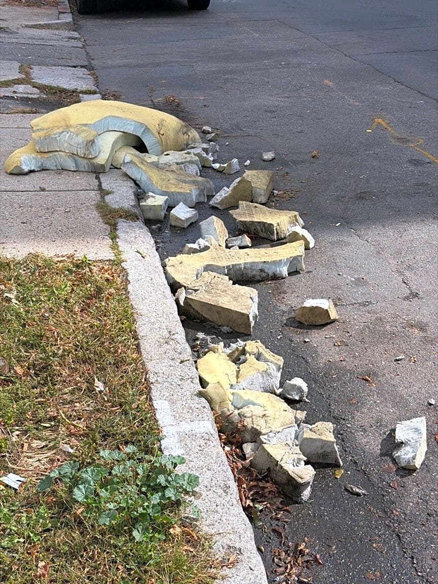 Image submitted with report