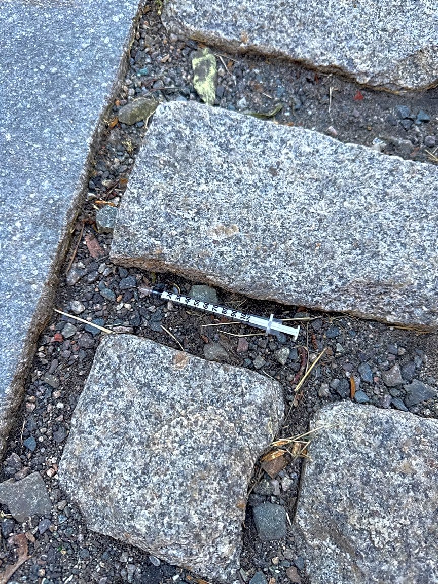 Image submitted with report