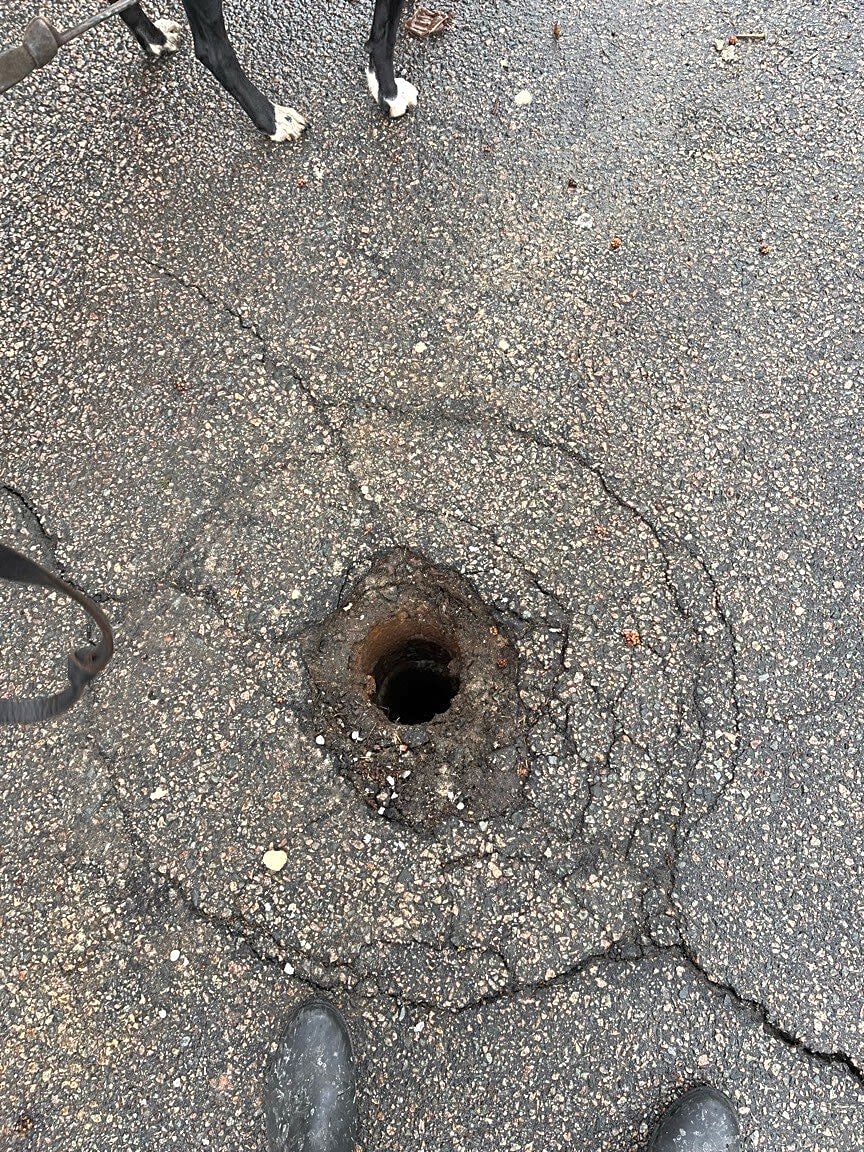 Image submitted with report