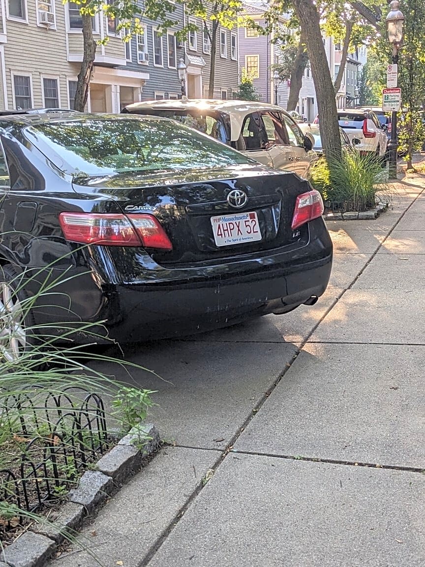 Image submitted with report