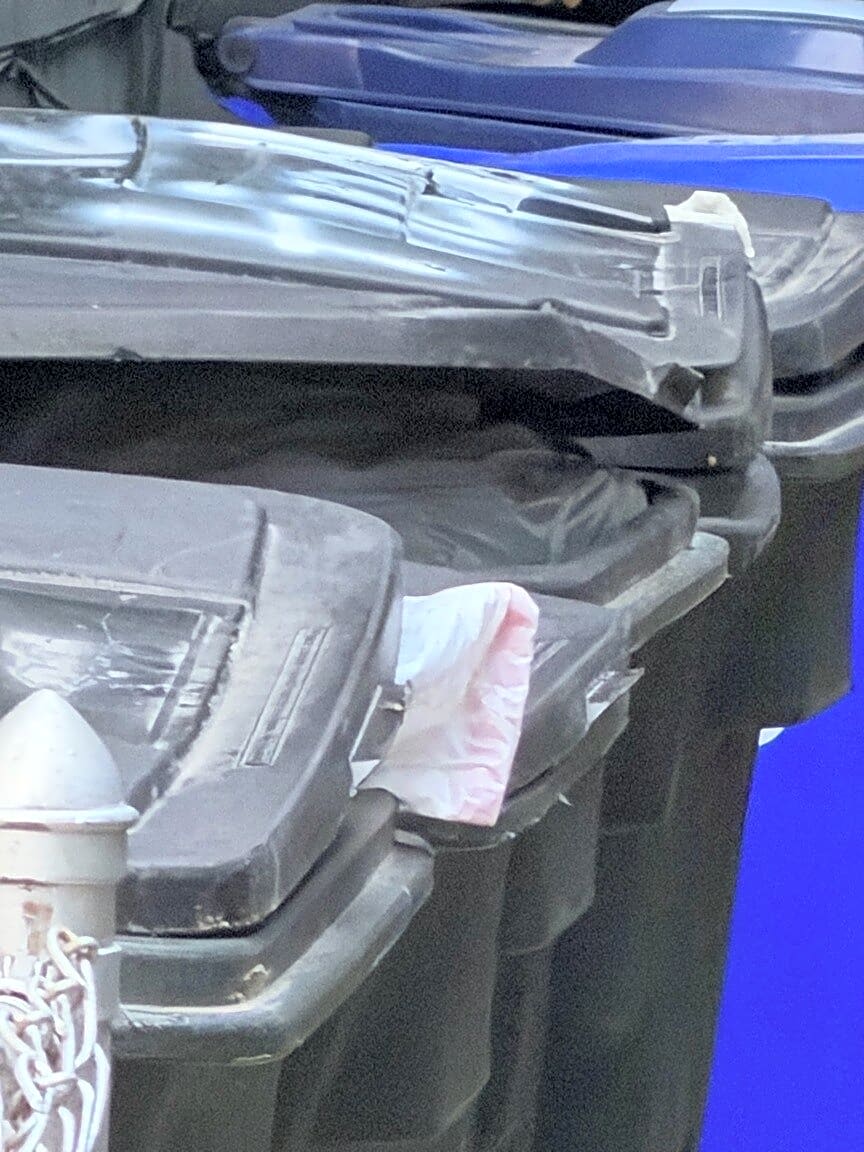 Image submitted with report