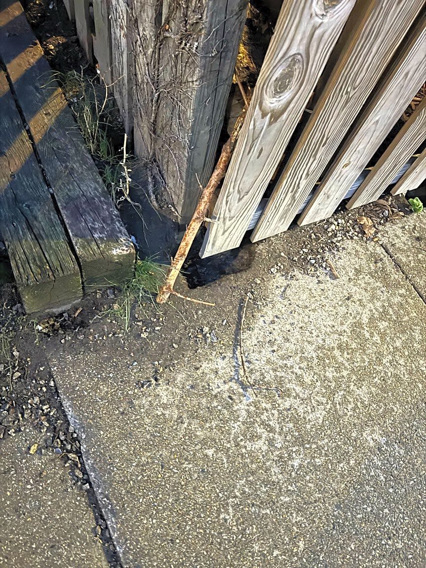 Image submitted with report