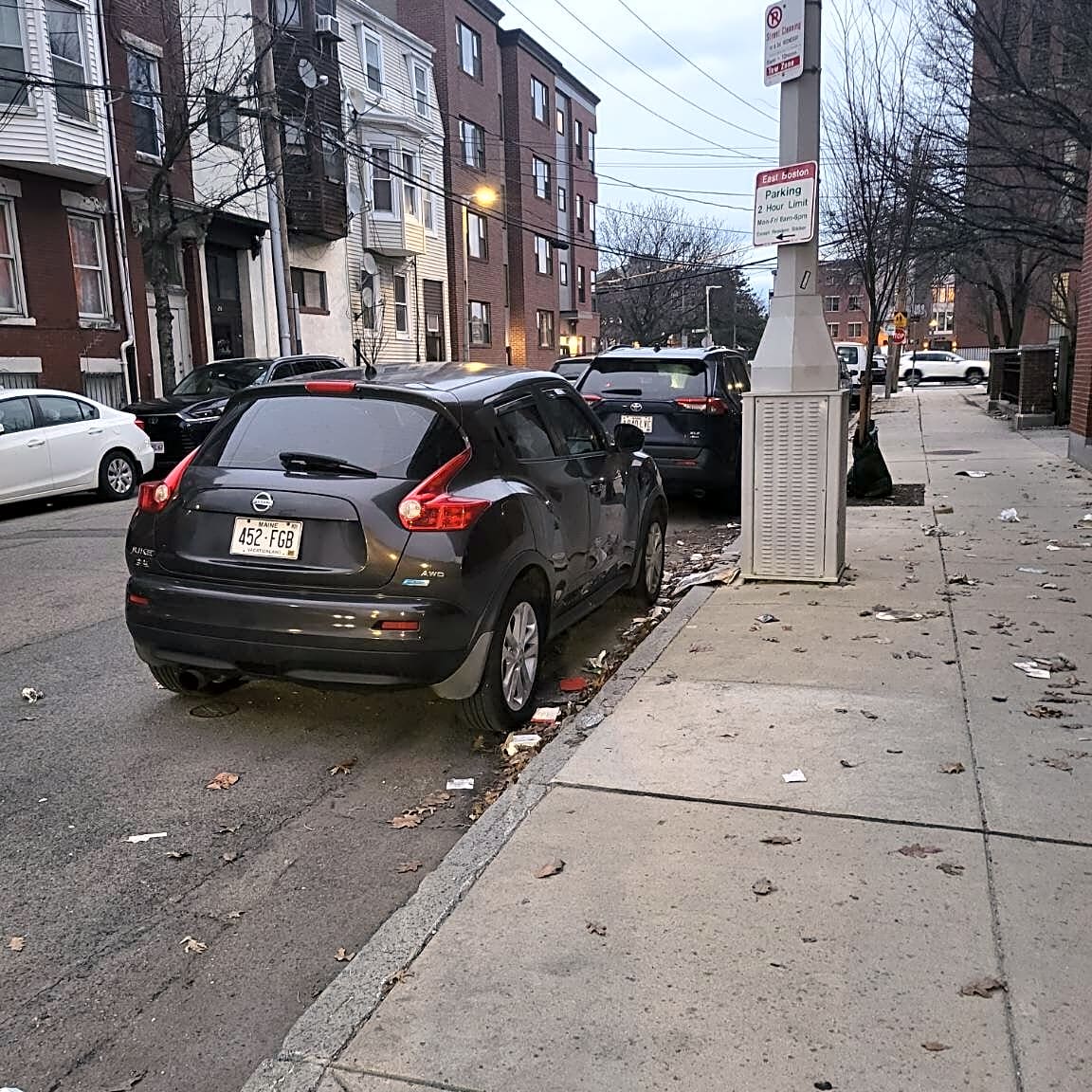 Image submitted with report