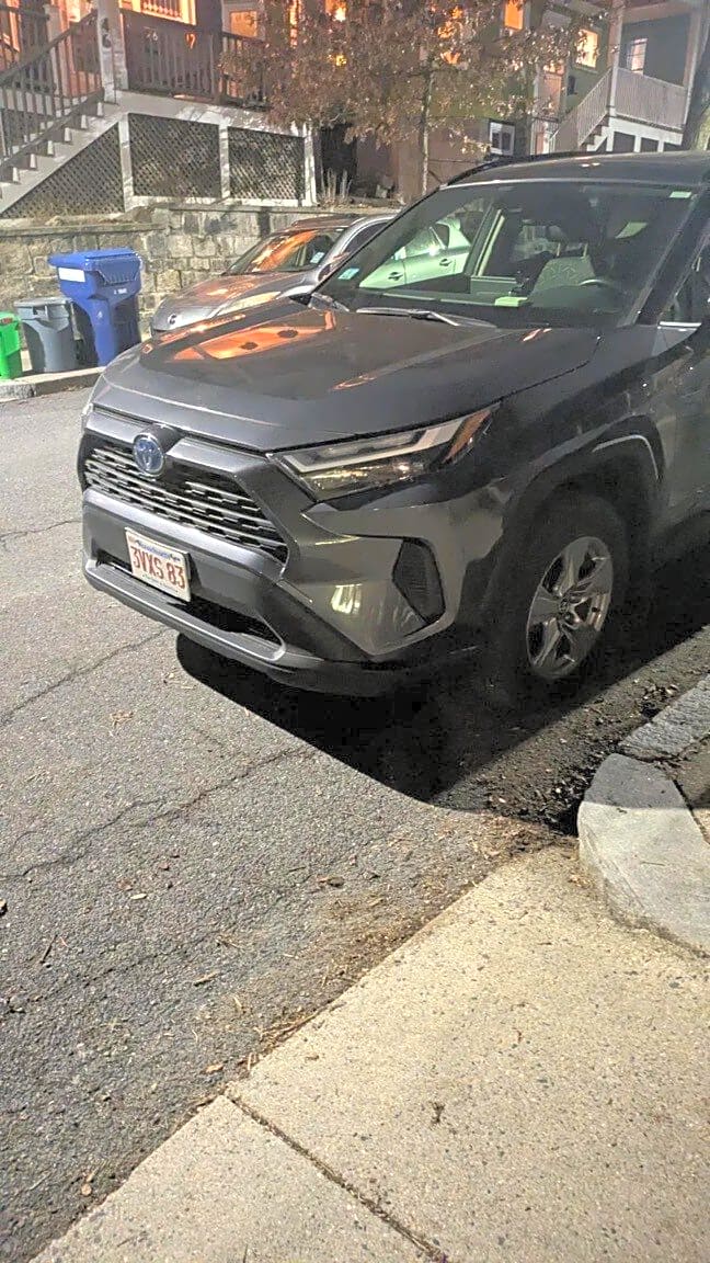 Image submitted with report