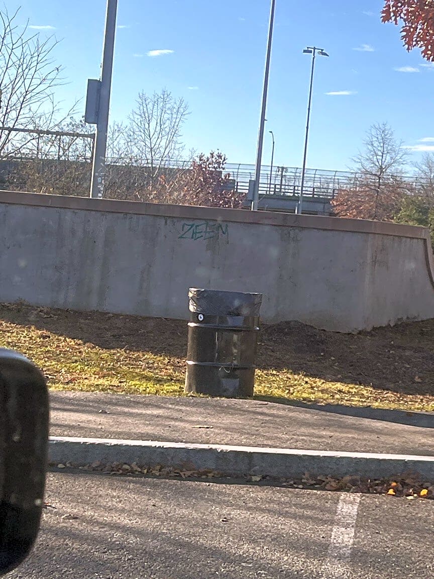 Image submitted with report