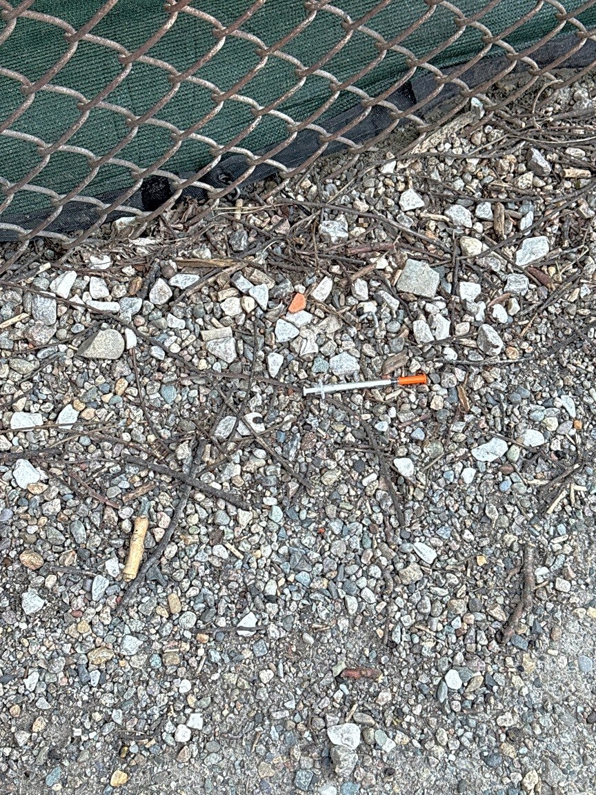 Image submitted with report