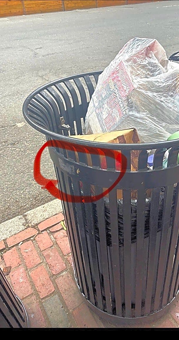 Image submitted with report