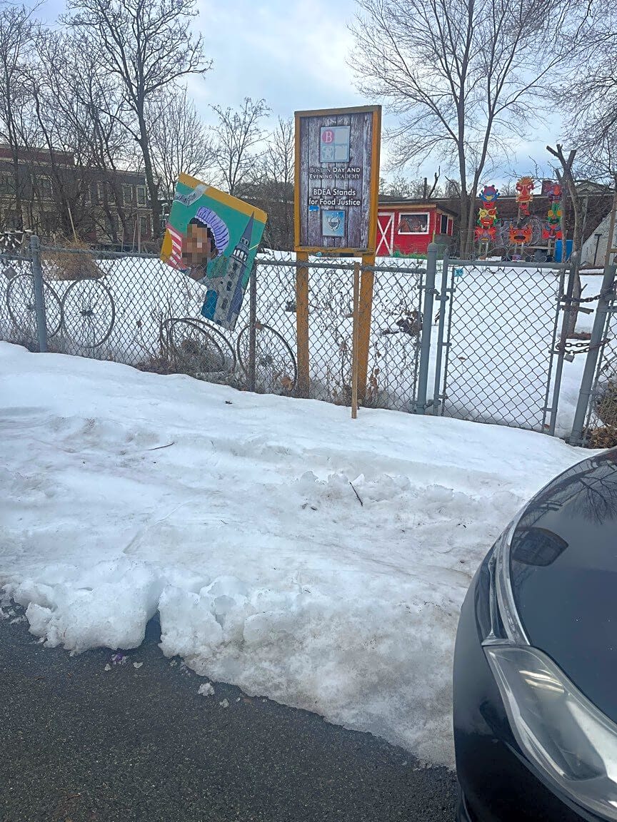 Image submitted with report