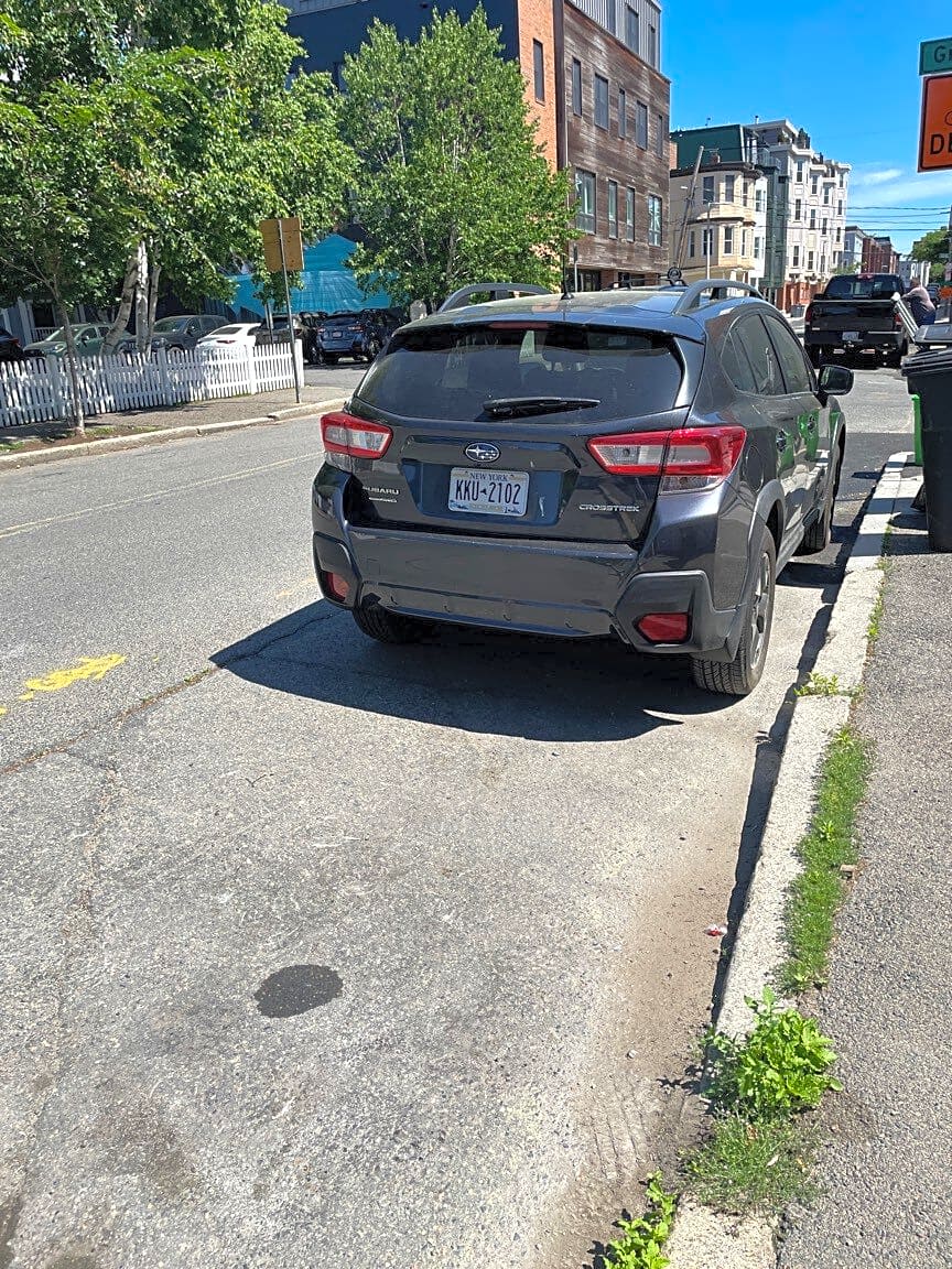 Image submitted with report