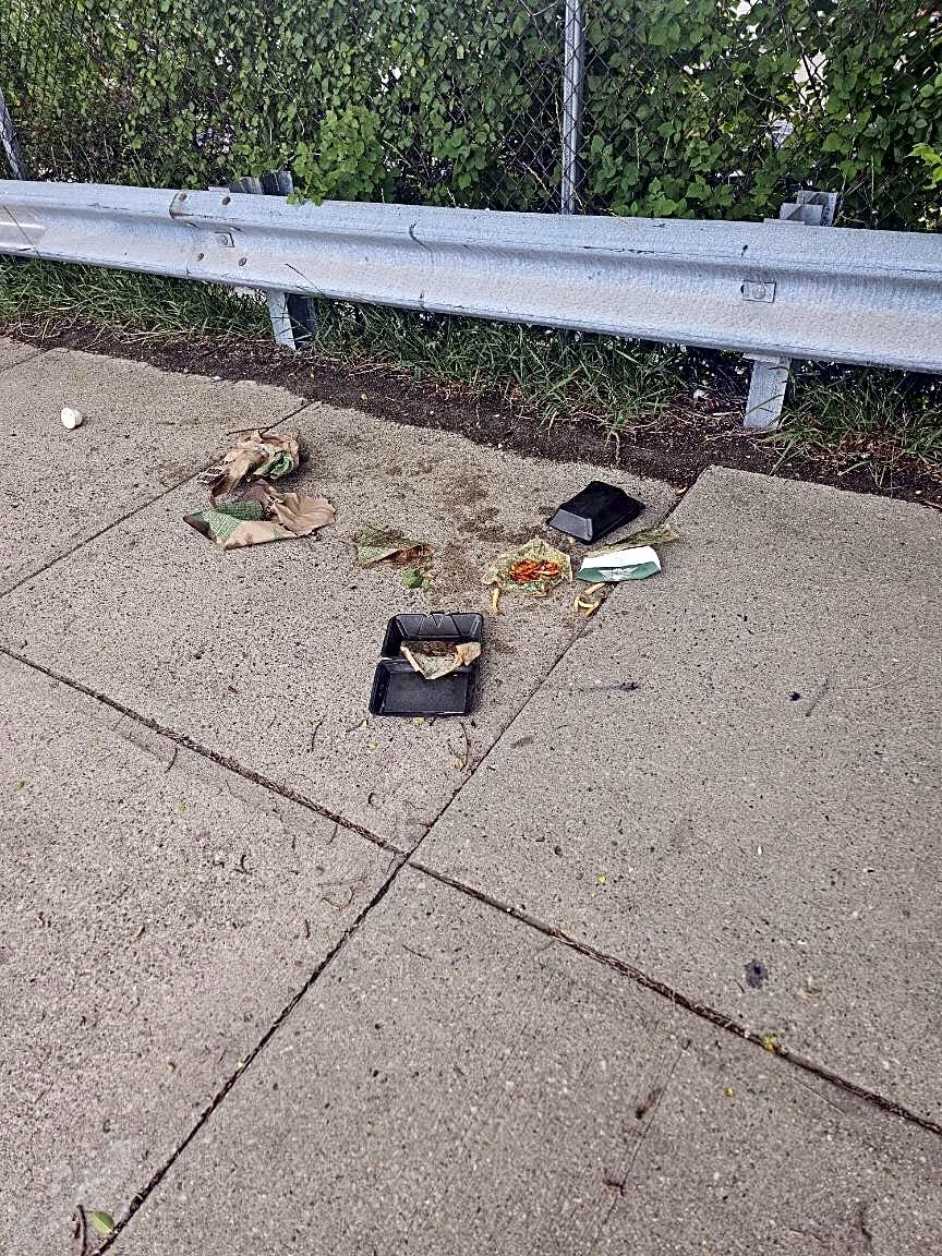 Image submitted with report