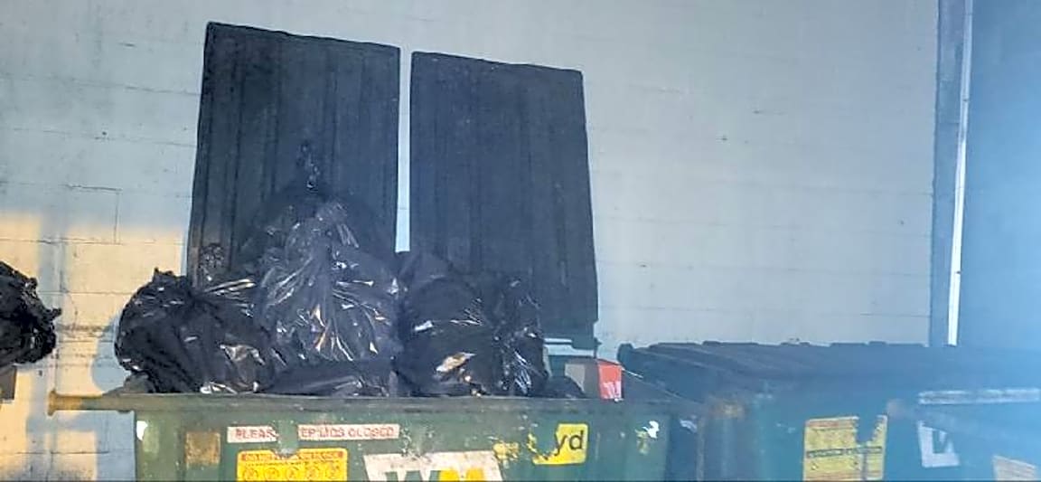 Image submitted with report