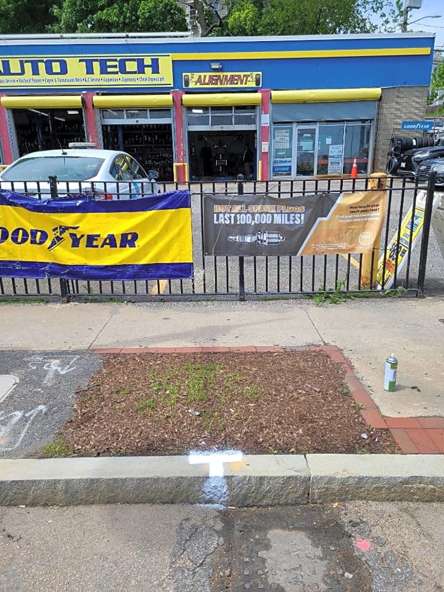 Image submitted with report