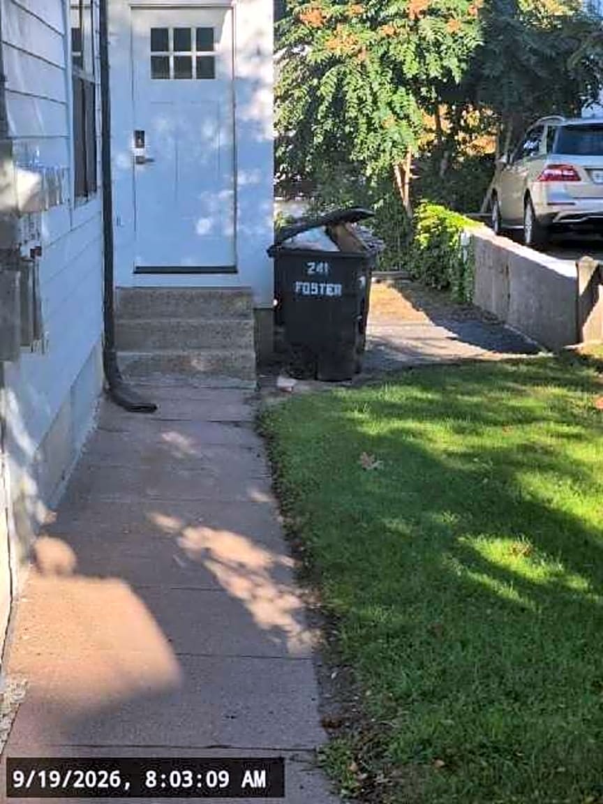 Image submitted with report