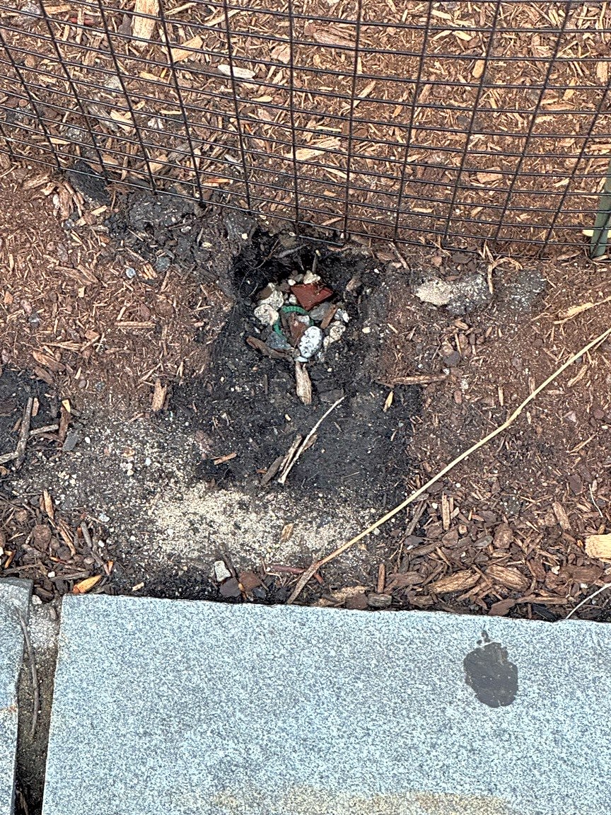 Image submitted with report