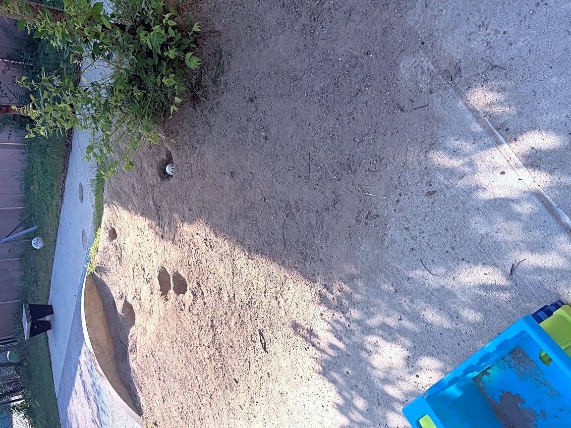 Image submitted with report